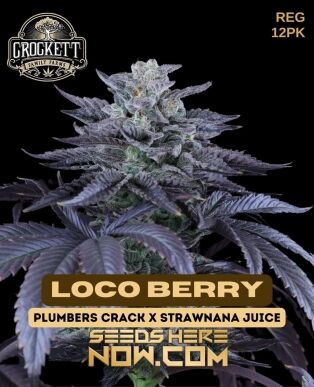 Loco Berry (regular) - Crockett Family Farms