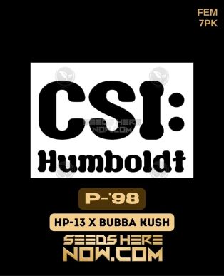 P-98 (feminized) - Csi Humboldt