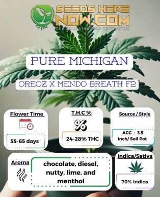 Pure Michigan Clones - Acc