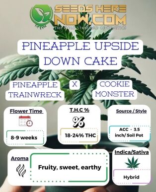 Pineapple Upside Down Cake Clones - Acc