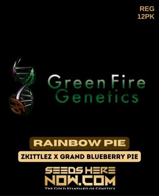 Rainbow Pie (regular) - Green Fire Genetics