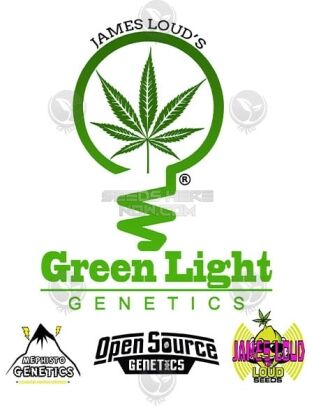Green-light-genetics