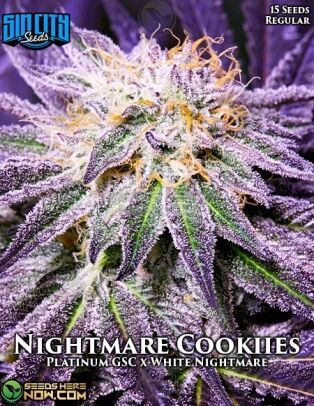 Nightmare Cookies (regular) - Sin City Seeds