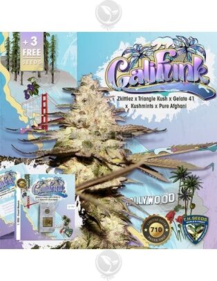 Califunk 710 Bonus Pack (feminized) - T.h. Seeds
