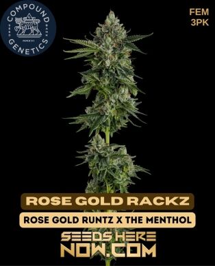 Rose Gold Rackz (feminized) - Compound Genetics
