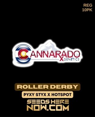 Roller Derby (regular) - Cannarado Genetics