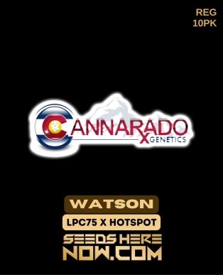 Watson (regular) - Cannarado Genetics