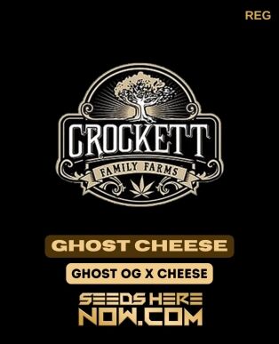 Ghost Cheese (regular) - Crockett Family Farms