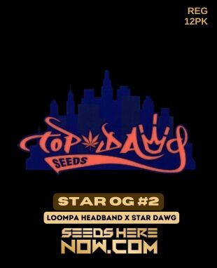 Star Og #2 (regular) - Top Dawg Seeds