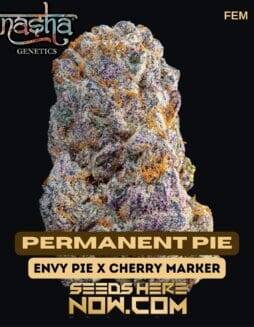 Permanent Pie (Feminized) (space) Nasha Genetics
