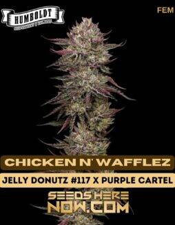 Chicken n' Wafflez (Feminized) (space) Humboldt Seed Company