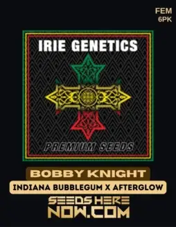 Packaging of Bobby Knight Feminized Seeds (space) Citrus, Pine, Earthy Aroma