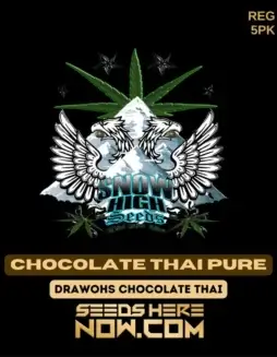 Chocolate Thai Pure Regular Seeds (space) Sativa(space)dominant, chocolate and coffee flavors, 19(space)25% THC