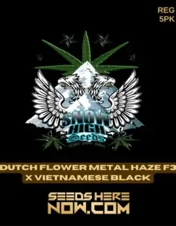 Dutch Flower Metal Haze F3x Vietnamese Black cannabis seeds packaging