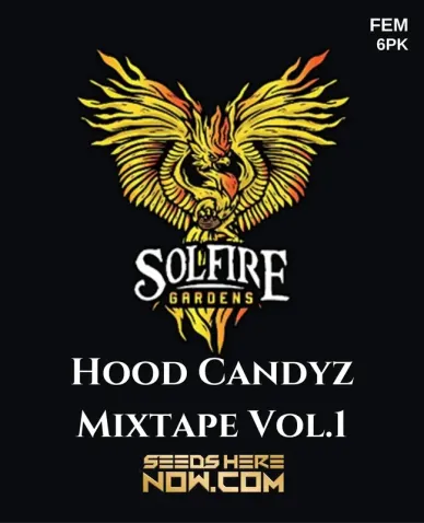 Hood Candyz Mixtape Vol.1 Feminized Cannabis Seeds by Solfire Gardens