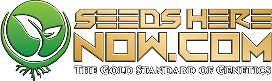 Seeds Here Now Logo