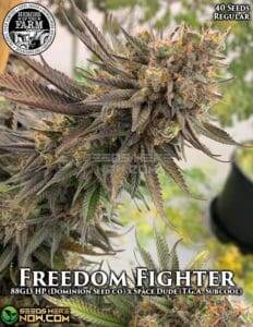 Freedom Fighter 2021 Limited Edition (Regular) (space) Heroes of the Farm