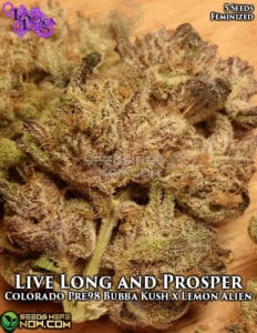 Live Long and Prosper (Feminized) (space) La Plata Labs