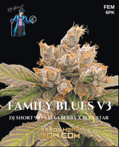Family Blues V3 (Feminized) (space) DJ Short Seeds/Blue Star Seeds