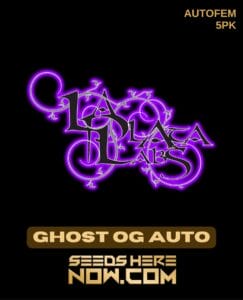 Ghost OG Auto (Autoflower) (space) La Plata Labs
