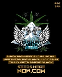 Chang Rai Northern Highland Juicy Fruit Thai x Vietnamese Black (Regular) (space) Snow High Seeds