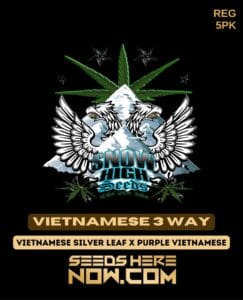 Vietnamese 3 Way (Regular) (space) Snow High Seeds