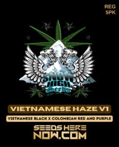 New Haze v1 (Regular) (space) Snow High Seeds