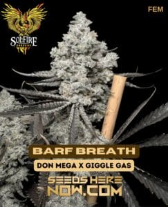 Barf Breath (Feminized) (space) Solfire Gardens