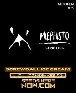 Screwball Ice Cream (Autoflower) (space) Mephisto Genetics