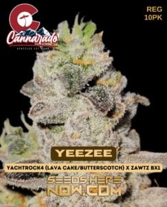 Cannarado Genetics (space) YeeZee {REG} [10pk]