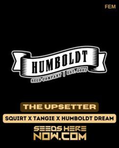 The Upsetter (Feminized) (space) Humboldt Seed Company