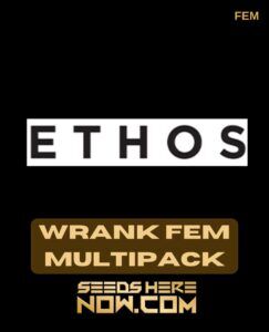 Wrank Multipack (Feminized) (space) Ethos Genetics