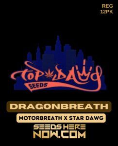 Dragonbreath (Regular) (space) Top Dawg Seeds