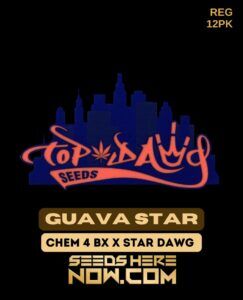 Guava Star (Regular) (space) Top Dawg Seeds