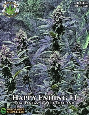 Happy Ending (Regular) (space) Eazy Daze Cultivators