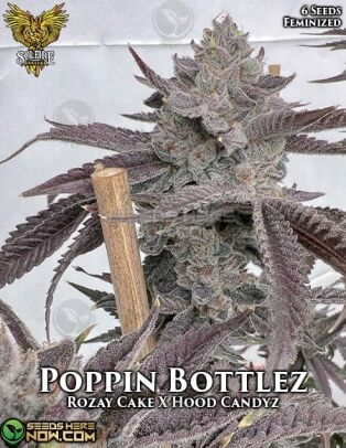 Poppin Bottlez (Feminized) (space) Solfire Gardens