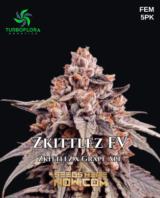 Zkittlez FV (Feminized) (space) TurboFlora Genetics