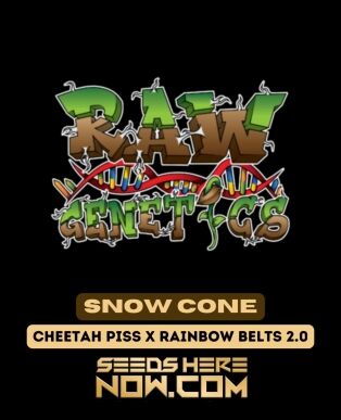 Snow Cone (Regular) (space) Raw Genetics