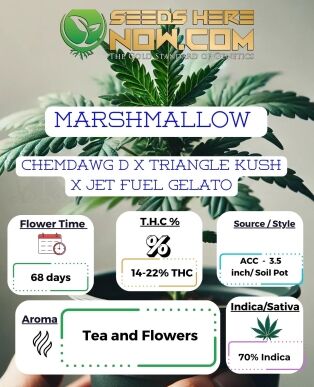 Marshmallow Clones (space) ACC