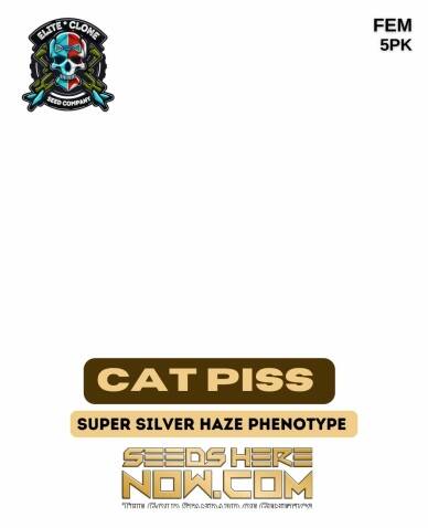 Cat Piss (Feminized) (space) Elite Clone Seed Company