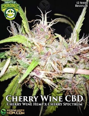 Cherry Wine Spectrum Cbd (regular) - Seattle Chronic Seeds