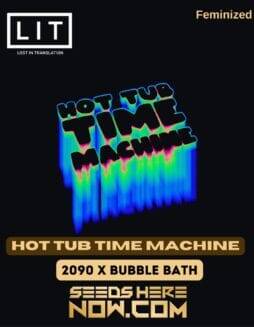 Hot Tub Time Machine (Feminized) (space) LIT Farms