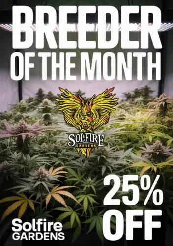 Autoflower Seeds Promotion
