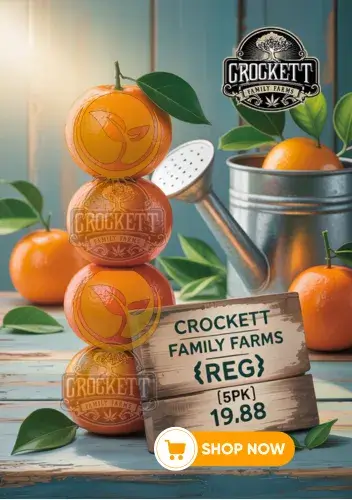 Autoflower Seeds Promotion