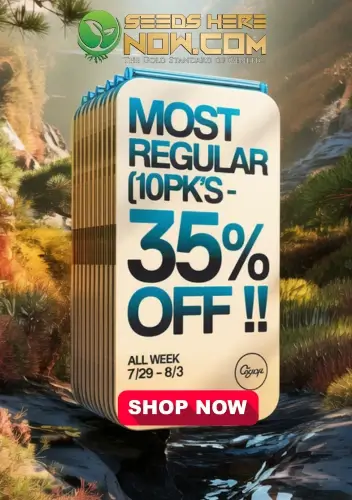 Autoflower Seeds Promotion