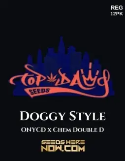 Doggy Style regular seeds by Top Dawg Seeds featuring ONYCD x Chem DD lineage
