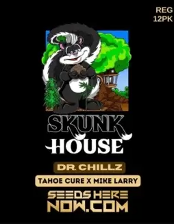 Dr. Chillz cannabis seeds, a regular seed strain by California Seedbank Genetics featuring Tahoe Cure and Mike Larry genetics