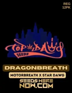 Dragonbreath cannabis seeds by Top Dawg Seeds featuring Motorbreath x Star Dawg lineage