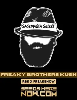 Image of Freaky Brothers Kush cannabis seeds, featuring chunky, spear(space)shaped nugs with bright green leaves and orange hairs.