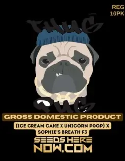 Gross Domestic Product regular cannabis seeds by Thug Pug Genetics, hybrid strain with 25% THC